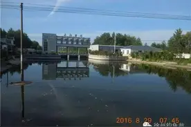 野钓小记——伏后初钓运料河图片