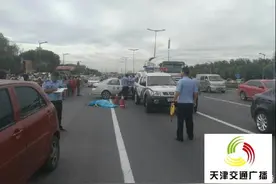 惨！2行人横穿快速路被撞身亡图片