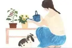 女朋友就该这么哄！别说我没教你！图片