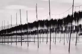 英国摄影师Michael镜头下的诗意中国图片