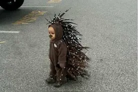 大人经常把我们小孩子打扮成动物。图片