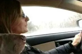 一张图看出男女驾驶技术的差异图片