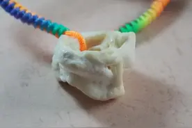 猪骨好有这样的妙用，你知道吗图片