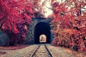 做梦梦到什么预示着你最近消灾减祸，财运不断，还会有好事发生图片