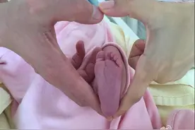 安小主陶昕然生女儿，捧何陶小脚丫比心图片