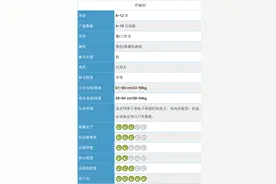 魁梧凶猛的罗威纳，到底适不适合当宠物养？图片