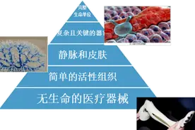 巧妇难为无米之炊，生物3D打印材料大盘点！图片