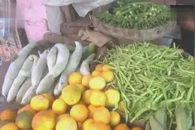 印度卖菜摊瓜果类品种繁多，印度人为什么不喜欢吃青菜呢？视频封面