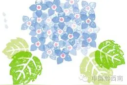 游黔西南美丽乡村 品地道乡村美食~图片