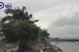 记者直击：台风“百里嘉”今早登陆湛江 风力强劲暂未发现灾情