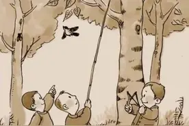 夏日树阴里的“毛毛雨” 你知道是知了制造的吗图片