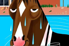 马男波杰克的悲与喜图片