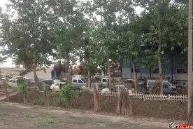 这些江滩浸泡的车，原来是报废的车图片