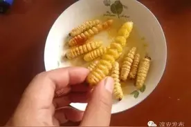 奇！淳安竟有许多人千方百计找这种虫吃图片
