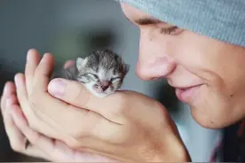 精华：猫的语言看看你能读懂？图片