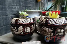 空酒瓶别扔了 改成精美花盆吧图片