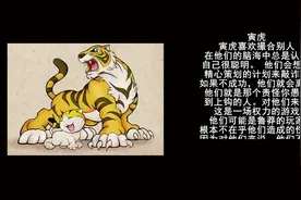 12生肖会最耍小心机的4个生肖，与他们相处多留个心眼视频封面