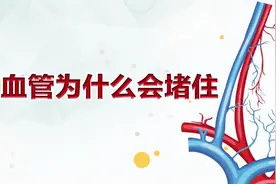 血管很脏含“毒素”？健康饮食、坚持锻炼很重要视频封面