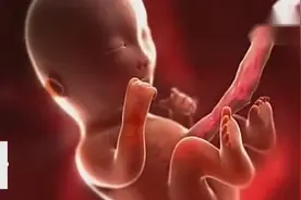 胎宝宝在孕妈肚子里喝羊水，不是因为渴，真相简直太有趣了！