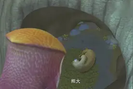 熊出没：熊二吃没熟的果子肚子疼，熊大这时候却不在家怎么办视频封面