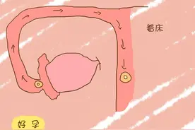 同房后多久才能确认怀孕？这才是最佳确认时间点图片