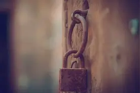 龙应台，散的什么步？图片