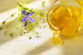 什么样的龙眼蜜才是好蜜？教你怎么挑好蜜图片