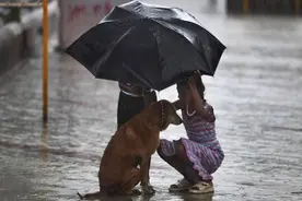两个孩子在暴雨中为流浪狗打伞，大人们该反思了图片