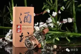 专访马斌：彻底消灭窜货 明年考虑取消销售团队任务考核图片
