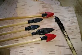 利用桦树皮提取出来的焦油，将其粘在树枝上能变成狩猎的工具图片