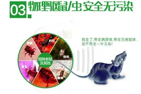 超声波驱鼠器真的有用吗？图片
