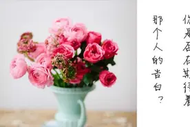 七夕之前，你是否在期待那个人的告白图片