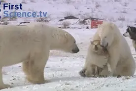 谁来翻译下！这是什么意思啊？图片