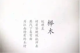 你认识其中几种木头？图片