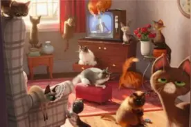 这个暑假让人看了萌心大爆发的宠物动画片-炎热的夏日有你清凉图片