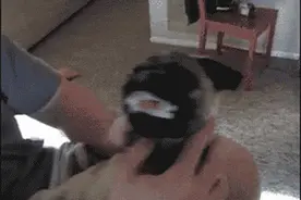 爆笑GIF：死鬼，别碰人家那里啦！图片