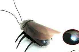 50块钱，做一个“机械蟑螂”（谁能起个更好听的名字）图片