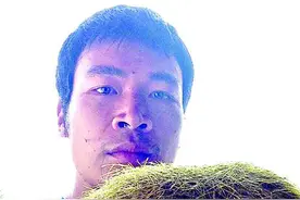 母猪腹中掏出带毛怪蛋， 600多万还是一文不值？图片