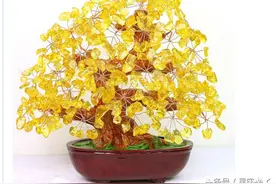 这几个时辰出生的人命好，超级有钱超级富贵图片