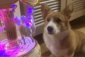 这个七夕，写给Iris图片