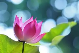 谈一场有关季节的恋爱图片