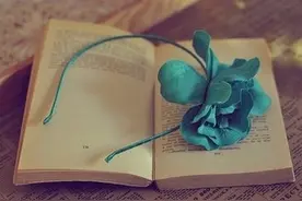 本是一往情深，终成无能为力图片