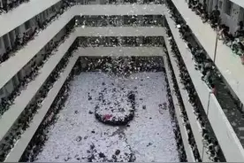 是什么把孩子逼出了国？图片