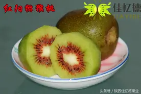 猕猴桃之好果，坏果傻傻分不清楚！图片