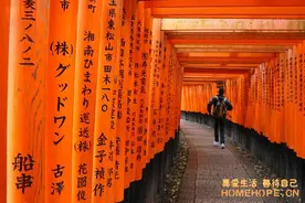 游记  日本 京都散步 伏见稻荷大社图片