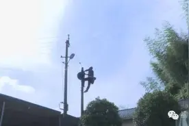 村里的大喇叭原来有这作用！图片