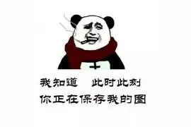 经典金馆长表情包 熊猫头骂管理群主必备斗图图片