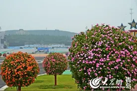“啤酒女神”现身啤酒节黄岛会场 海味十足图片