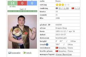 重量级冠军KO榜前六：中国泰森居首，英国泰森出局图片