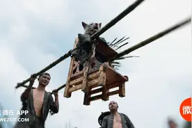 这个奇怪的抬狗节，居然是为了感谢狗的恩情图片